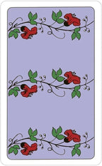 The Wonderland Tarot in a Tin