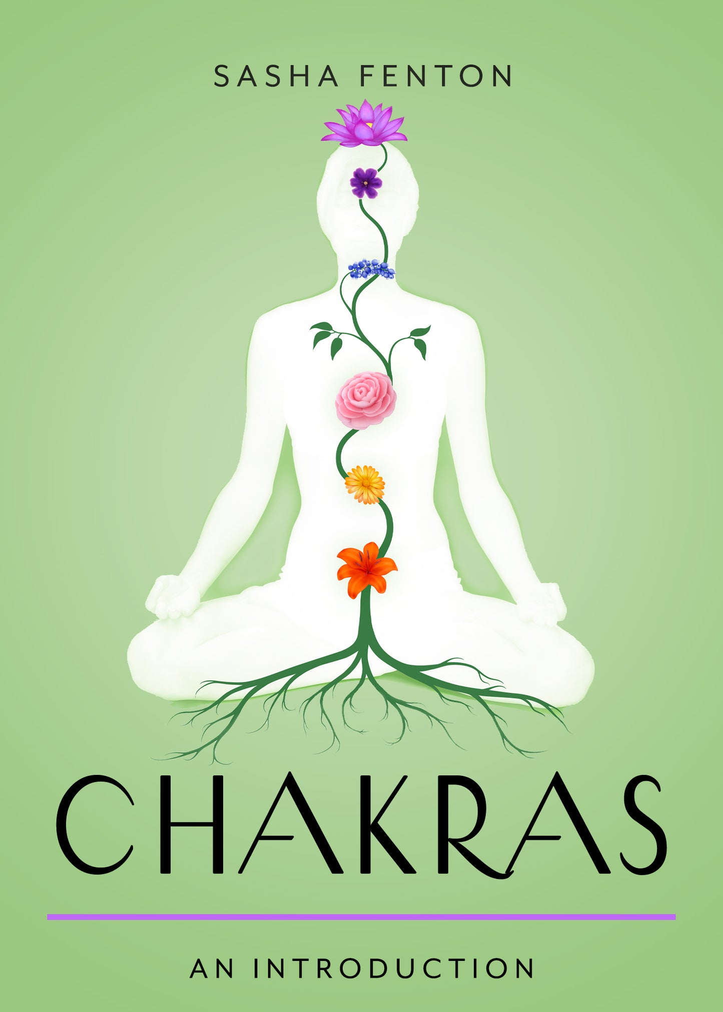 Chakras by Sasha Fenton