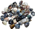Tumbled Botswana Agate - Harmony of Hues