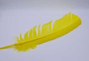 Dyed Yellow Turkey Feathers